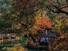 -惠山古镇·寄畅园