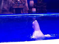 -华夏文旅海洋公园