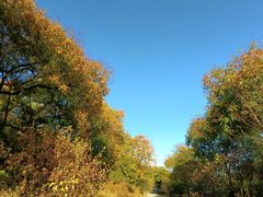 -北京西山国家森林公园