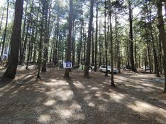 -重庆睡佛山森林公园