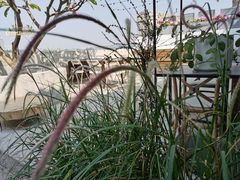 景观位-喜洲吧·江畔老船厂·庭院餐厅(喜临院店)