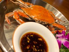 -必点海鲜·鲅鱼水饺(鞍山西道店)