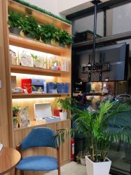 -丝客富脱发养发头皮馆