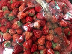 -江杨农产品批发市场