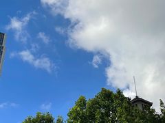 -上海明天广场JW万豪酒店