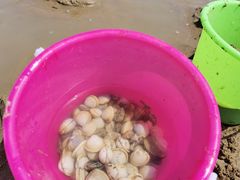 -刘家湾赶海园