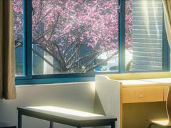 -东南大学(九龙湖校区)