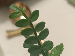 -上蔬无瑕· 创意素食·Vegetarian(华采天地店)