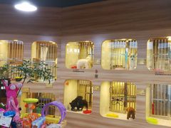 -1013 PET SHOP 宠物商店(近铁城市广场店)