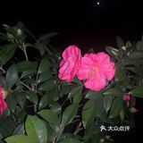 一起合道
