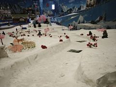 -长沙湘江欢乐雪域