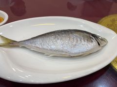 -天天海鲜城·海鲜大排档(新溪店)
