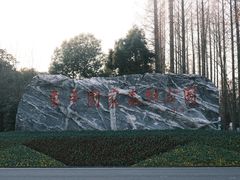 -东平国家森林公园