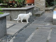 -苏家巷36号公馆