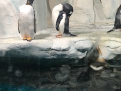 -南昌海洋公园