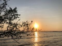 -宝安西湾红树林湿地公园