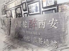-福苗小骆驼烧烤(莲湖路店)