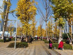-两江幸福广场