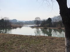 -长广溪湿地公园
