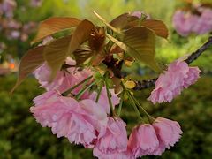 -江南大学(蠡湖校区)