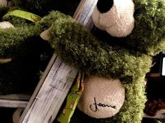 -济州岛泰迪熊博物馆