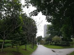 -重庆彩云湖湿地公园