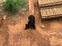 -昆明动物园