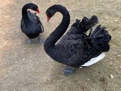 -鄱阳湖国家湿地公园