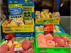 -大龙燚·旷野鲜火锅(广州首店)