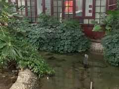 -兴芮温泉度假区