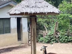 -杭州动物园