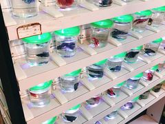 -宠物世家(仲盛世界商城店)