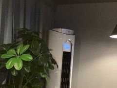 -梵猫·新养生(湛江鼎盛店)