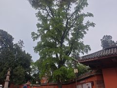 -金堂县云顶石城风景区