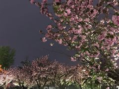-大雁塔北广场音乐喷泉