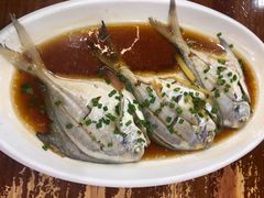 清蒸鲳鱼-台州老六海鲜面馆(上南总店)