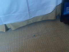 -北京首都机场希尔顿酒店
