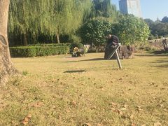 -南翔镇银翔湖公园