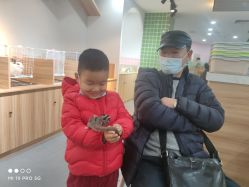 -Moni星球萌宠·小马宝莉·灵蛇·高端高阶全萌宠互动体验俱乐部(红豆国际广场店)