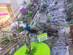 -赛格国际购物中心(小寨店)