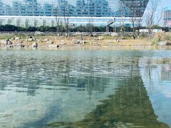 -桂溪生态公园