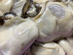 -蚝乡农庄(铁涌赤岸店)