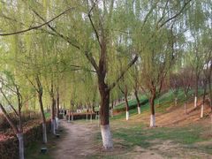 -西安汉城湖景区