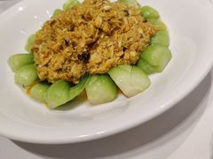 -新吉士·上海菜(浦东LCM置汇旭辉店)