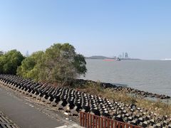 -上海滨江森林公园