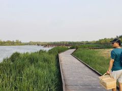 -西青郊野公园
