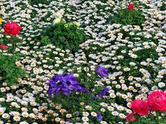 -首开·龙湖成都西宸天街