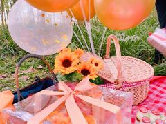 -桤木河湿地公园