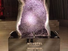 -玄武苏宁诺富特酒店·紫金轩中餐厅