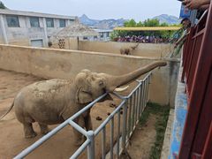 -西霞口神雕山野生动物世界